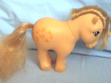 Butterscotch