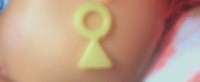 Second Edition Kimber: Earrings