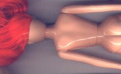 Mexican Kimber Body: Back