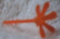 Stormer: Flower
