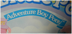 Adventure Boy Ponies Card