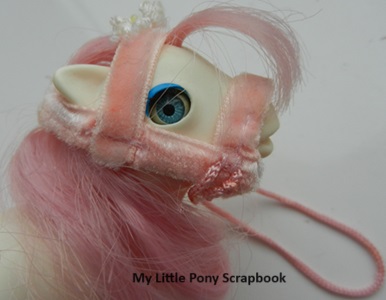 Baby Sundance's Bridle