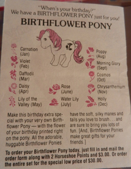 Birthflower Ponies
        Pamphlet