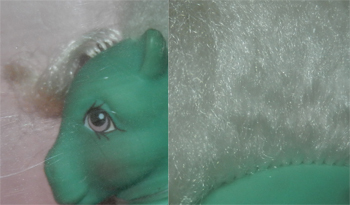 Daisy Sweet
                  Close Up