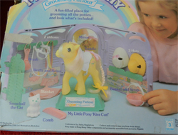 Kiss Curl's Grooming Parlour-
          box