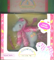 Caramel Crunch Mint in Box