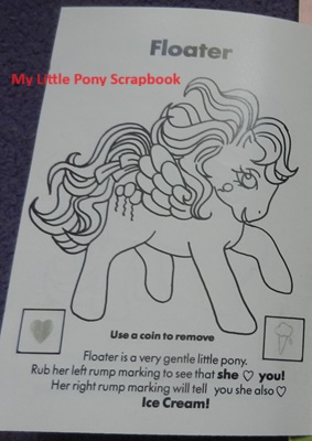 Floater's Booklet Intro