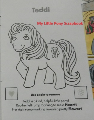 Teddi's Booklet Intro