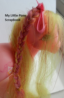 Rapunzel's Braid