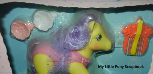 Twinkle Dancer Accessories